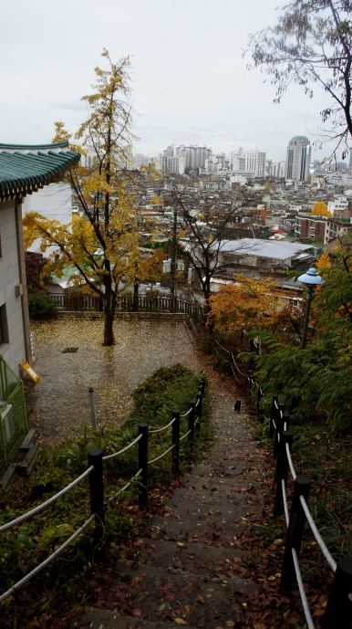 송학대공원 동작어린이도서관 방면 전경