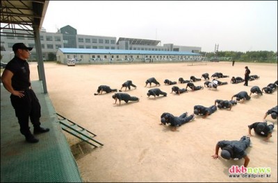 일반인을 대상으로 하는 '바다체험캠프' 