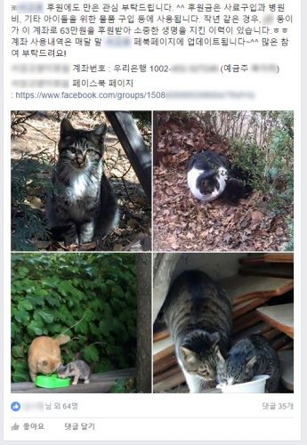 모 고양이보호단체 페이스북